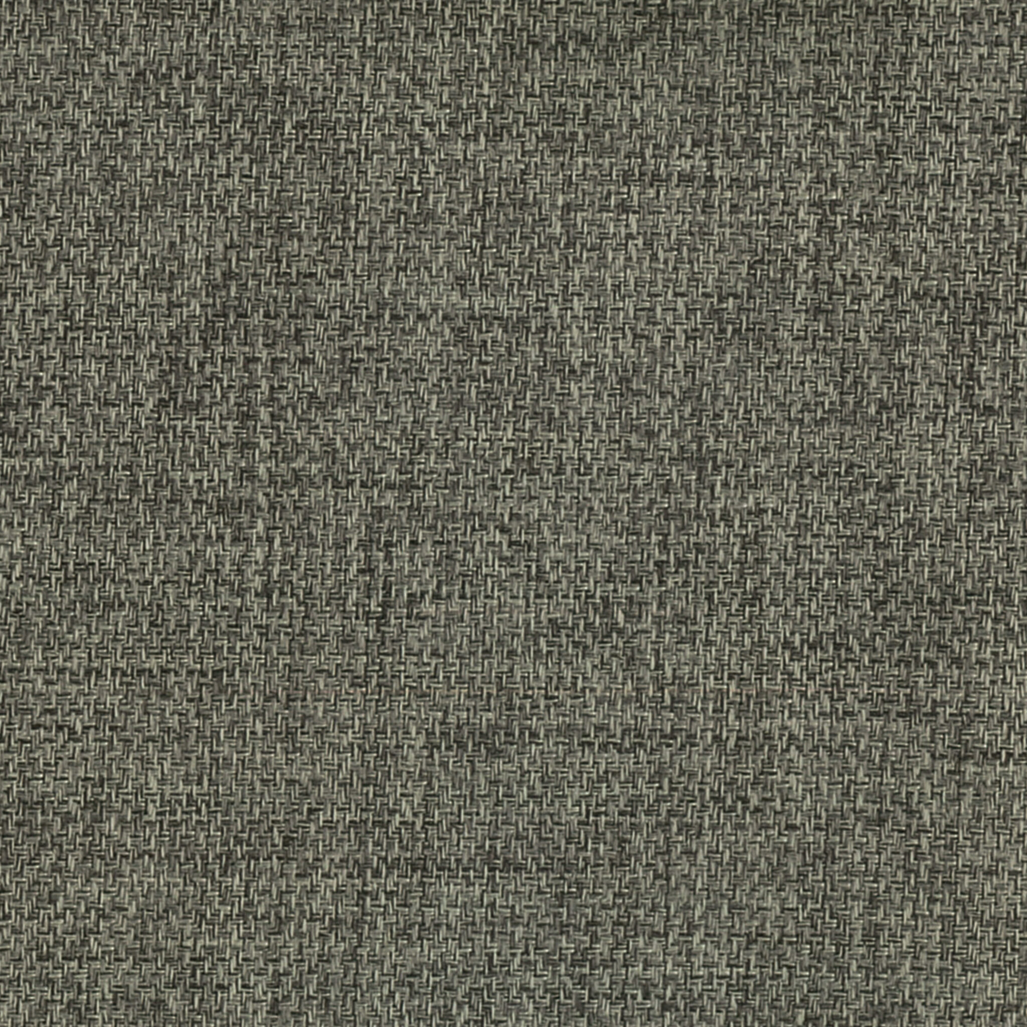 Cosmos-Fossil-Blockout-Curtain-Colour-Swatch