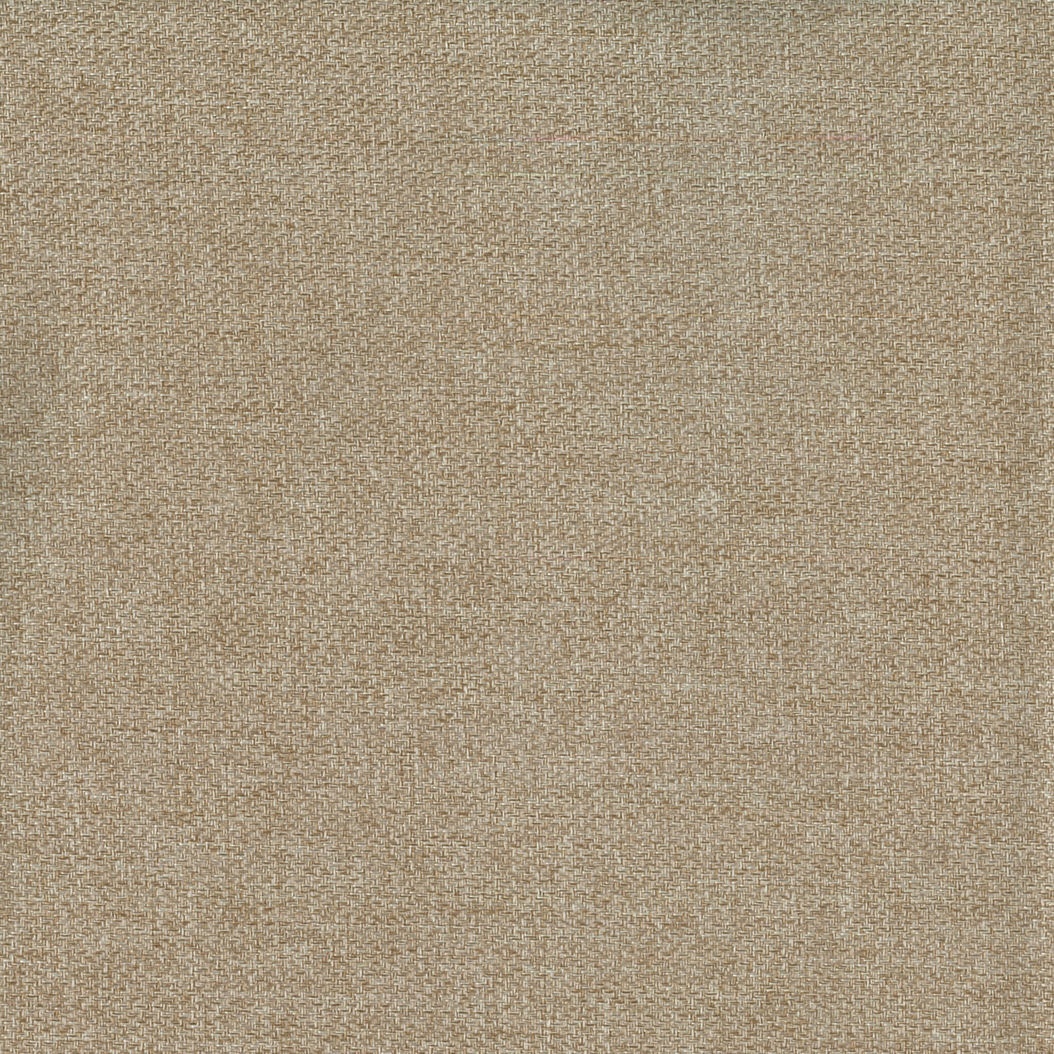 Cosmos-Tahini-Blockout-Curtain-Colour-Swatch
