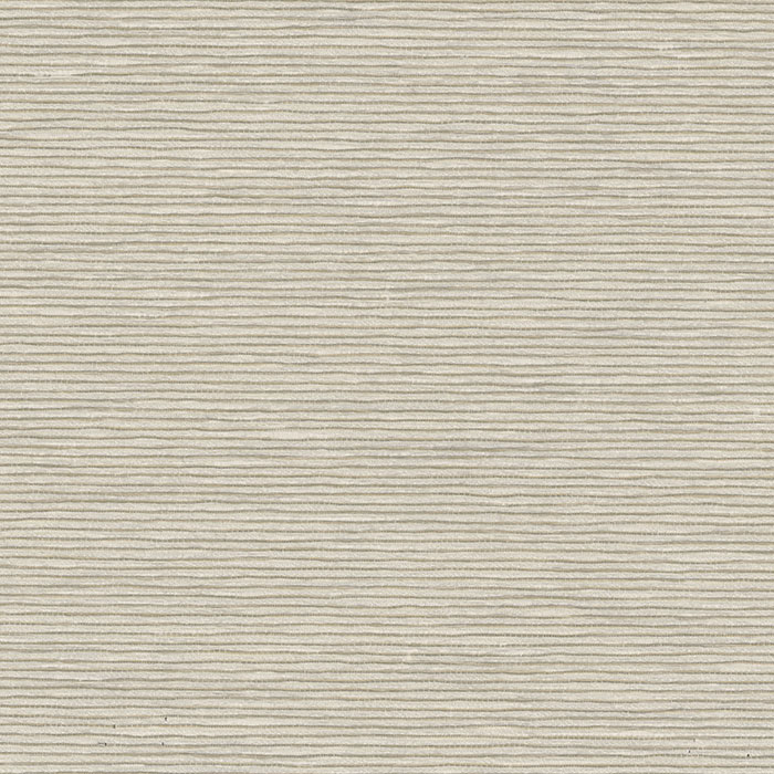 Ora-Birch-Blind-Colour-Swatch