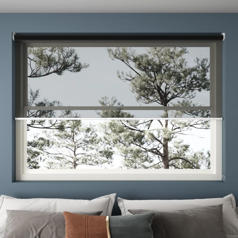 Sunscreen Roller Blinds in Black, from our Shadow fabric